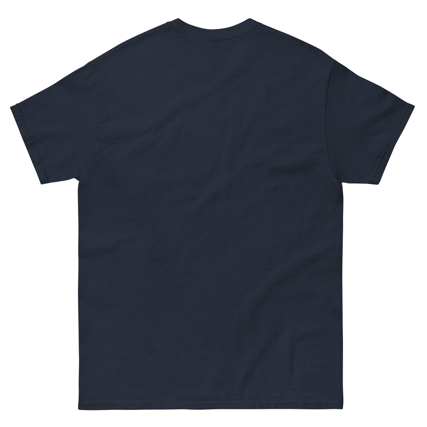 DNC 2024 Unisex classic tee