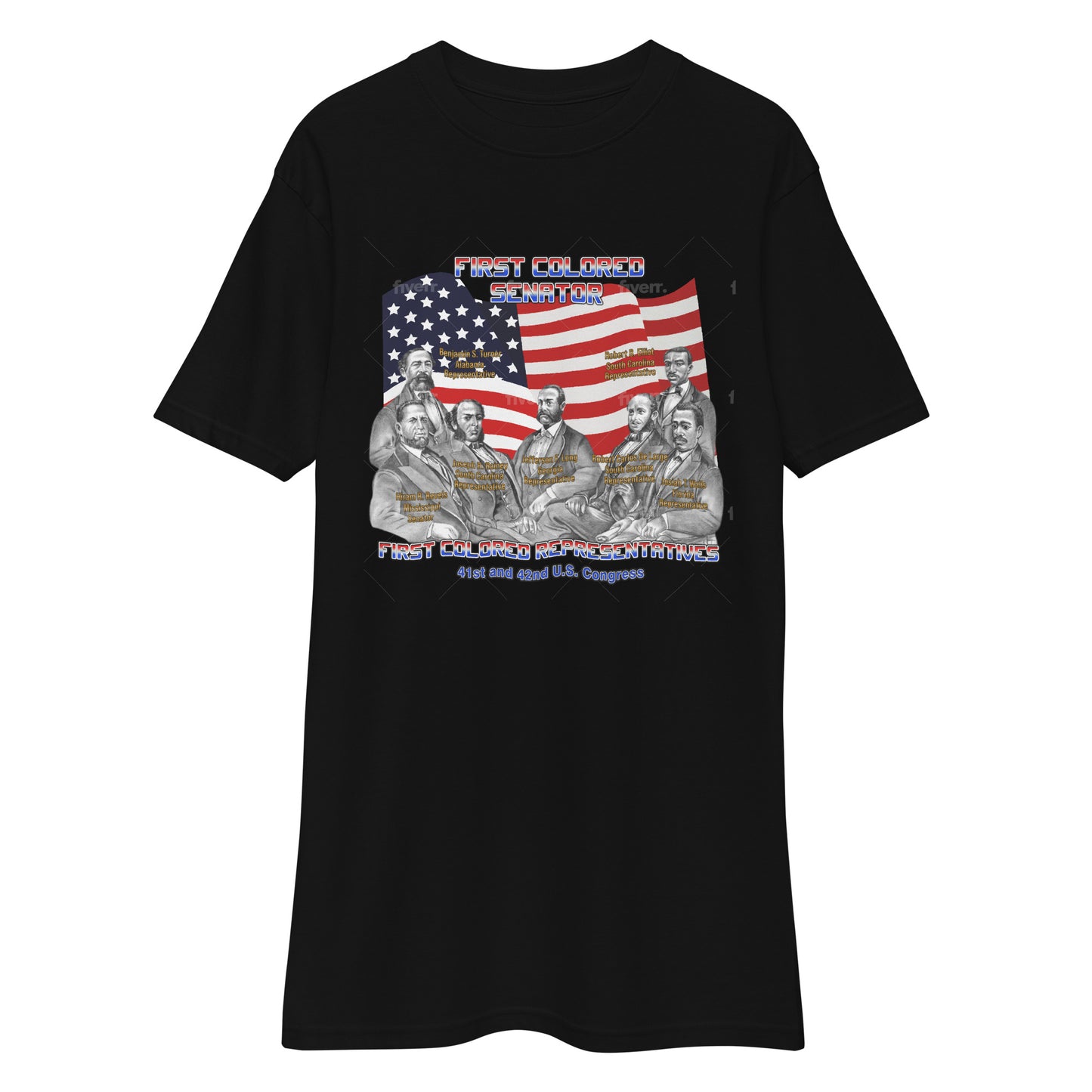 First Colored Senator and Representatives Men Premium Heavyweight T-Shirt