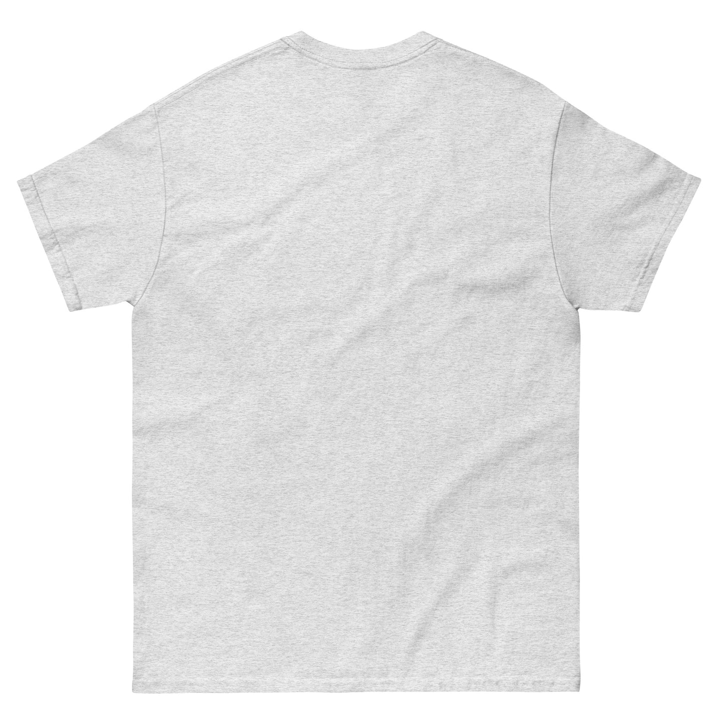 DNC 2024 unisex classic tee