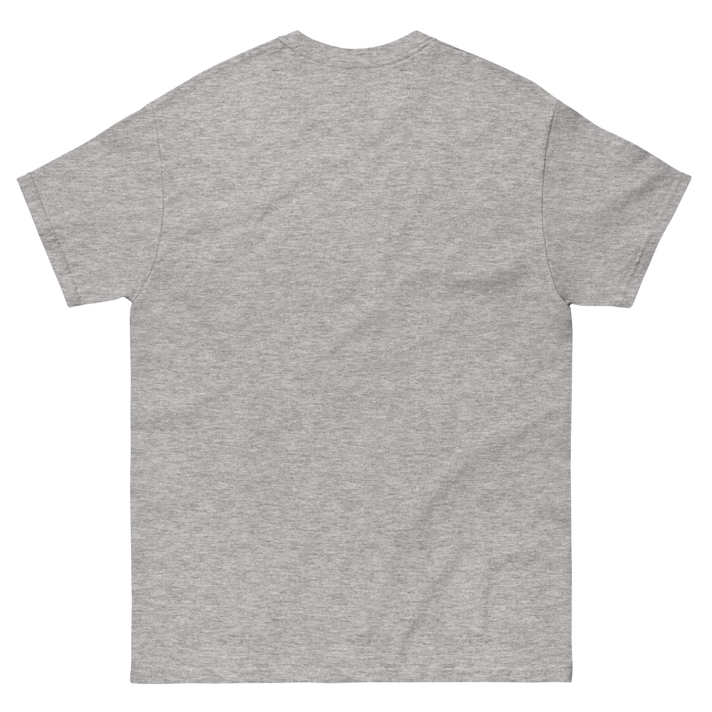 DNC 2024 unisex classic tee