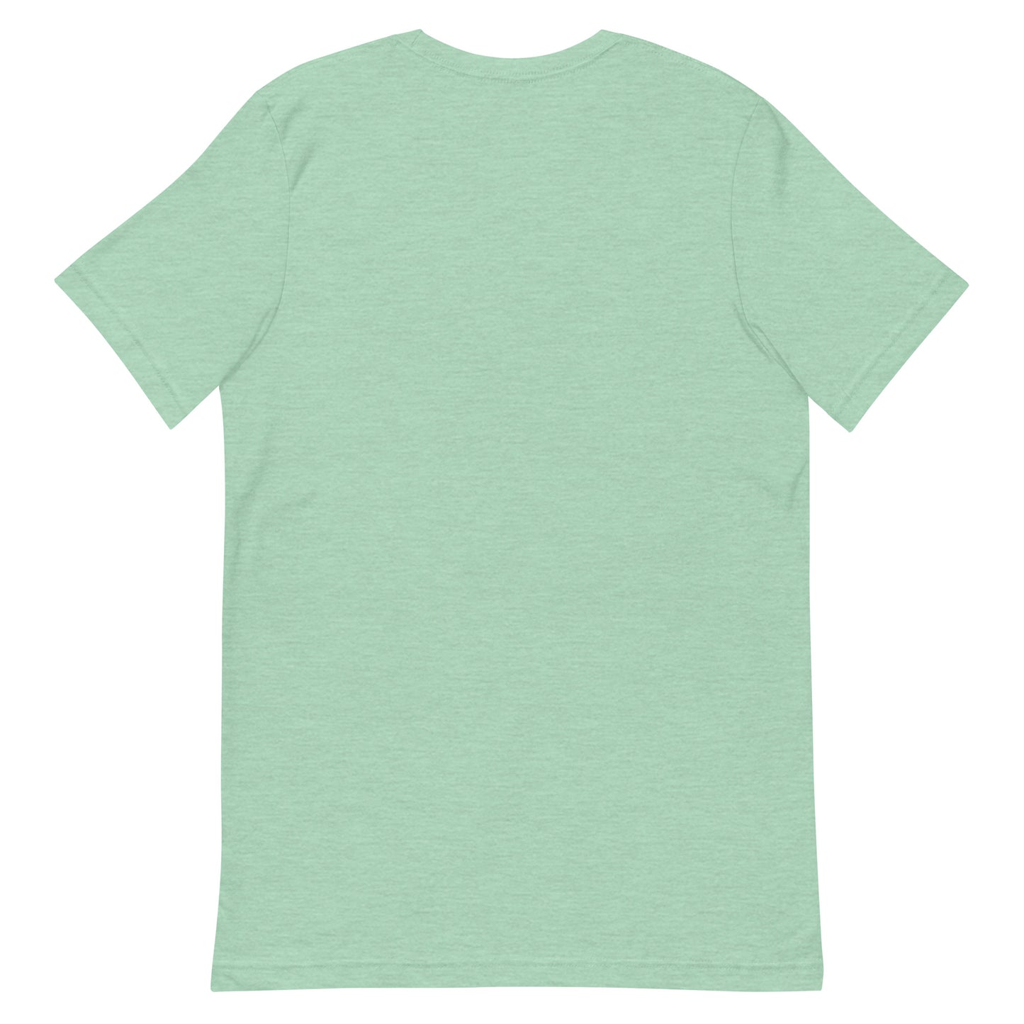 DNC 2024 Harris Pink and Green Unisex t-shirt