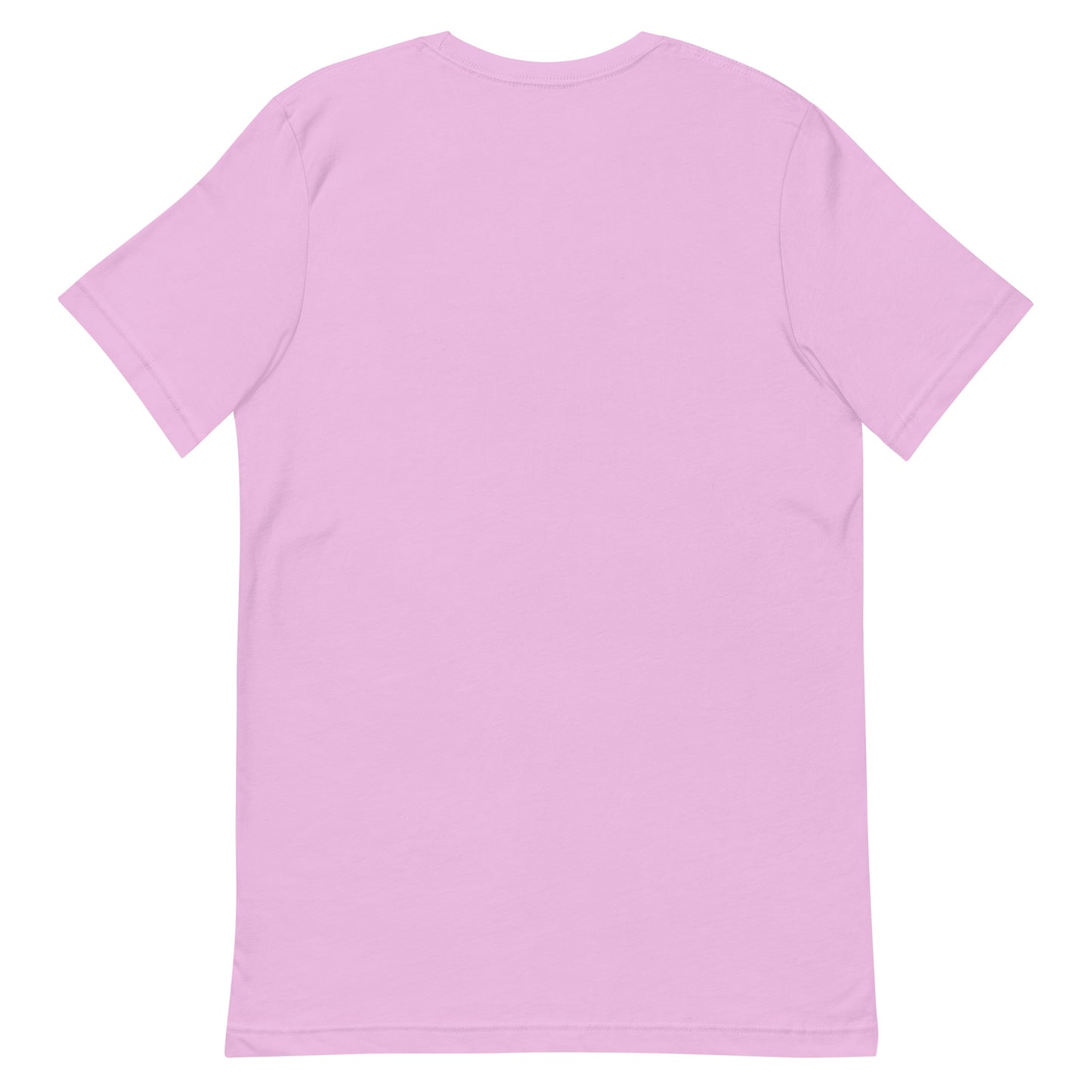 DNC 2024 Harris Pink and Green Unisex t-shirt